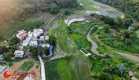 五指山毛納村：這里處處好風(fēng)景 村美民富日子火