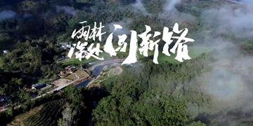 五指山毛納村：黎家村寨日子美依山傍水，滿眼蒼翠。茶香四溢，令人沉醉。這里是海南省五指山市水滿鄉(xiāng)毛納村，一個(gè)遠(yuǎn)離喧囂的黎族村莊。近年來毛納村圍繞“全域旅游示范村”建設(shè)目標(biāo)，以美麗鄉(xiāng)村建設(shè)為抓手，以黎族文化和熱帶風(fēng)情為主題，大力發(fā)展鄉(xiāng)村旅游業(yè)，村民的日子越過越紅火?！驹敿?xì)】