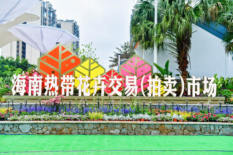 海南熱帶花卉交易（拍賣）市場。主辦方供圖