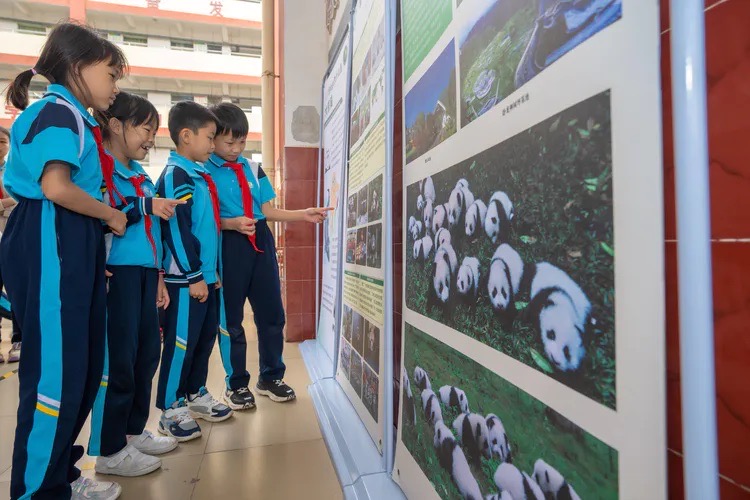 ?？谑袞|山鎮(zhèn)中心小學(xué)以大熊貓知識科普宣講活動為學(xué)生開啟新學(xué)期第一課。李冬林?jǐn)z