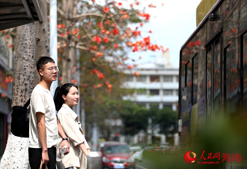 木棉花開，給?？谔砩洗喝绽寺?。人民網(wǎng) 符武平攝