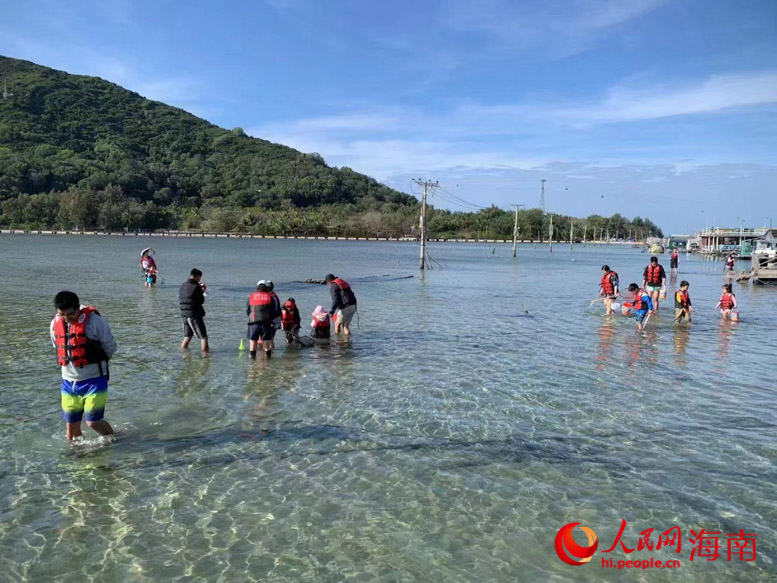 游客在退潮時(shí)分趕海。受訪者供圖