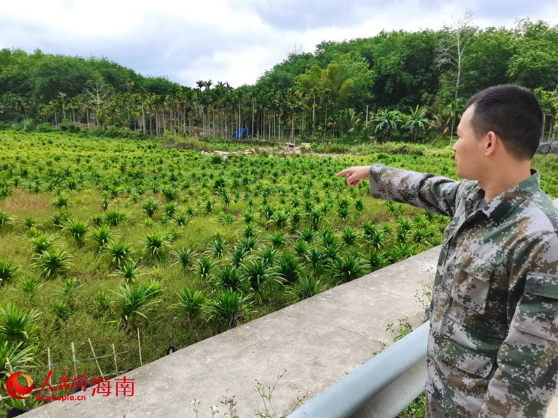 堅(jiān)固村里的斑斕地。人民網(wǎng) 毛雷攝