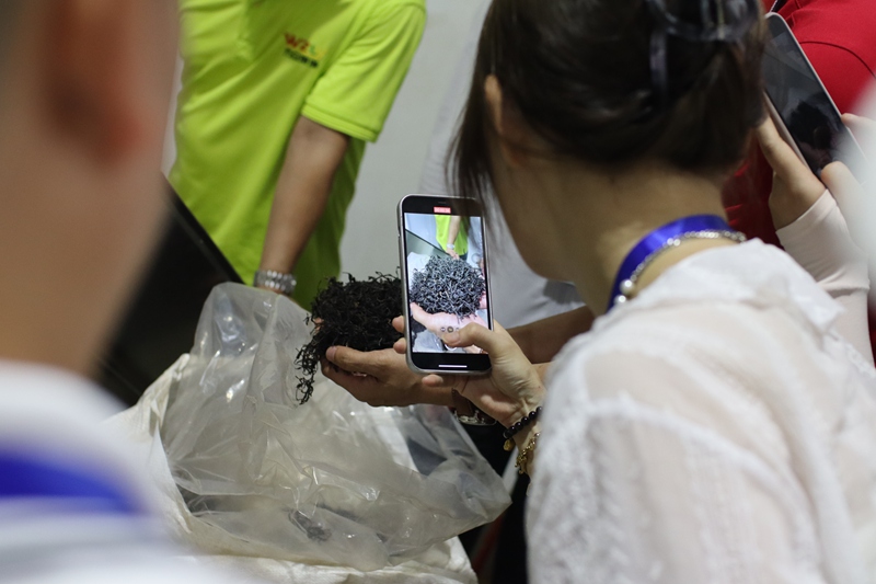 媒體記者參觀灣嶺茶廠。 主辦方供圖