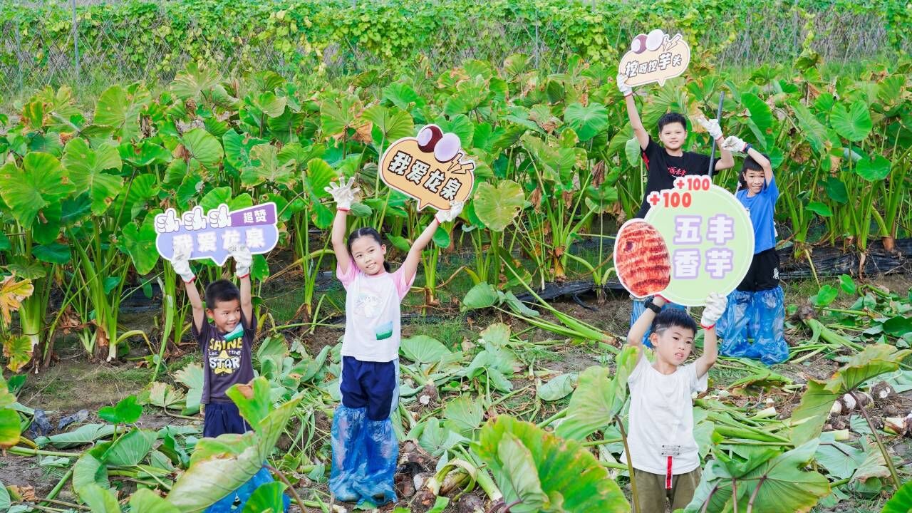 活動現(xiàn)場。主辦方供圖