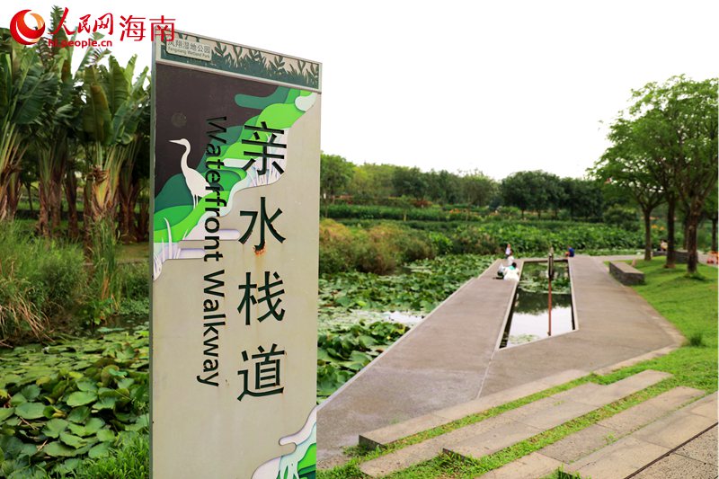 鳳翔濕地公園的親水棧道。 人民網(wǎng)記者 孟凡盛攝