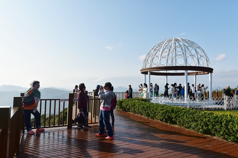 1月26日，寒假伊始，眾多游客漫步在亞龍灣熱帶天堂森林旅游區(qū)賞花觀景，登高望遠(yuǎn)，體驗(yàn)熱帶雨林游的樂趣，樂享暖冬三亞的美麗風(fēng)光。黃慶優(yōu)攝