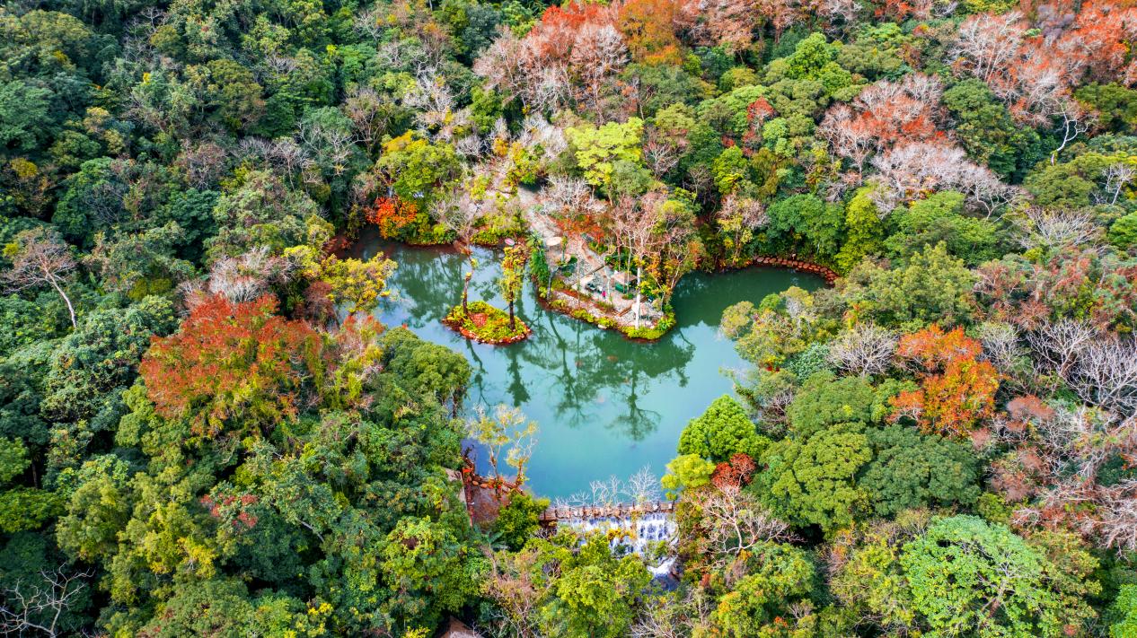 百花天池