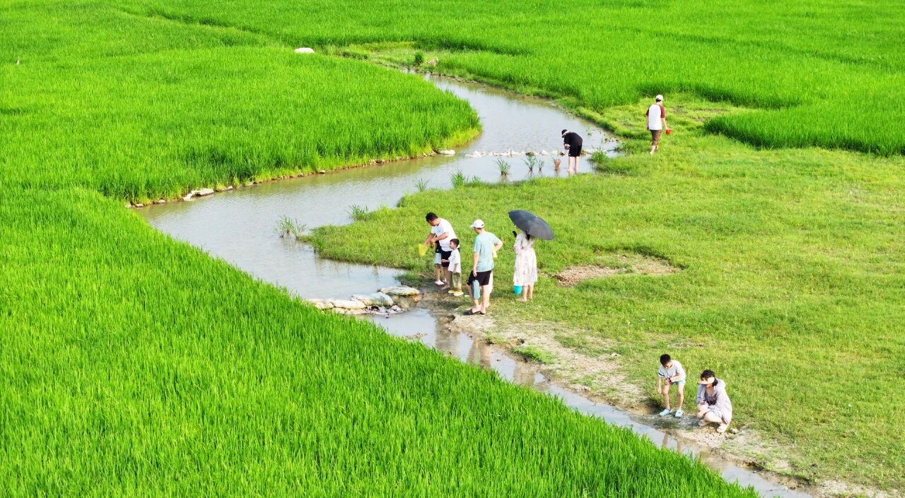 田園風(fēng)光無(wú)限好。海口旅文局供圖