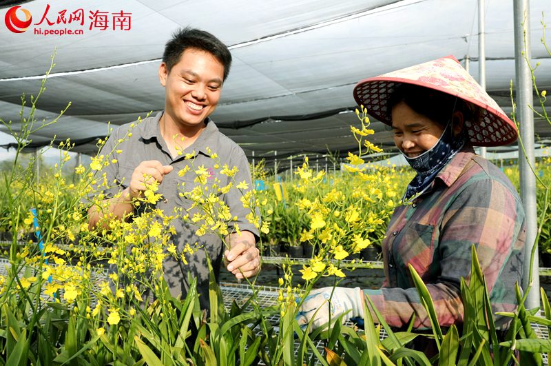 蘭花盛開，農(nóng)民的幸福寫在臉上。人民網(wǎng)記者 符武平攝