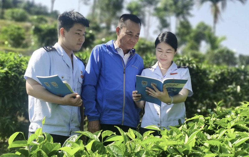 圖說：稅務(wù)干部深入茶園了解茶葉長勢和采摘情況，并為合作社送來稅費優(yōu)惠政策和業(yè)務(wù)操作指引。王琳攝