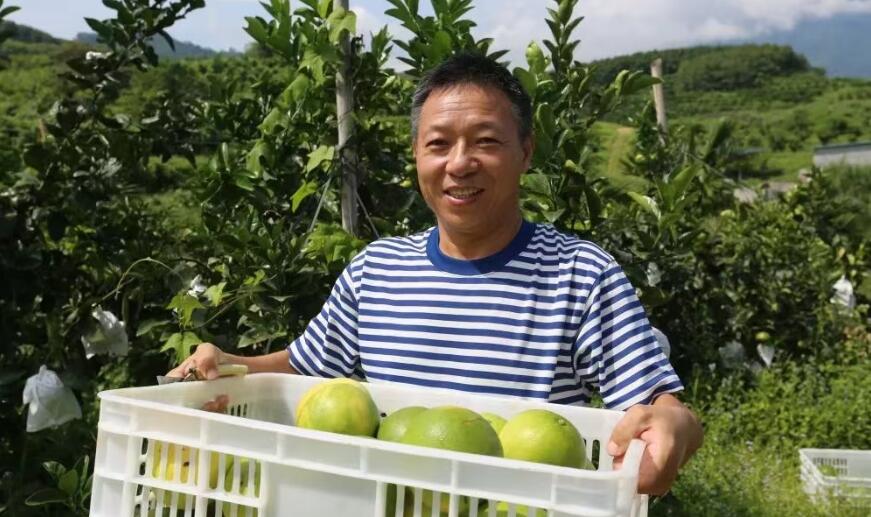 以標(biāo)準(zhǔn)化熱帶柑橘種植示范基地為核心打造黎母山旅游觀光帶