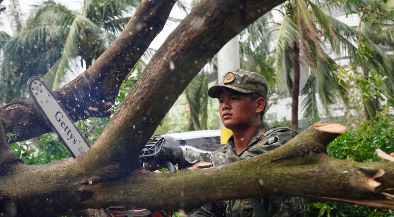 武警海口支隊(duì)官兵清理被風(fēng)吹倒的樹(shù)木