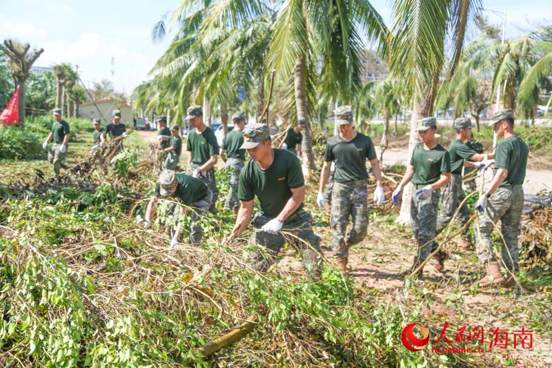 武警官兵們身手矯健、行動迅速，不一會兒就將一片區(qū)域清理完畢。人民網(wǎng)記者 牛良玉攝